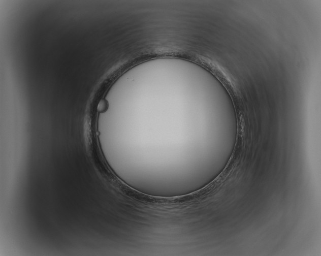 X0000102390684200808010935