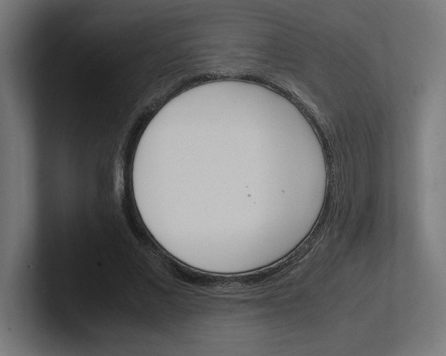 X0000102390685200808010935
