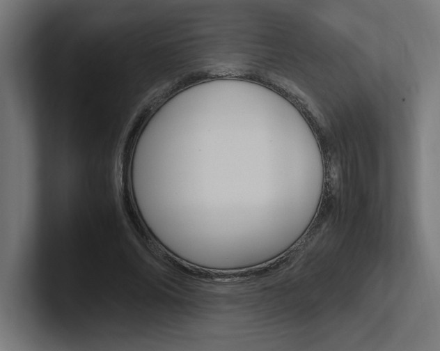 X0000102390686200808010935