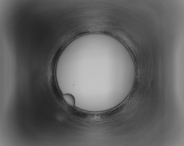 X0000102390687200808010935