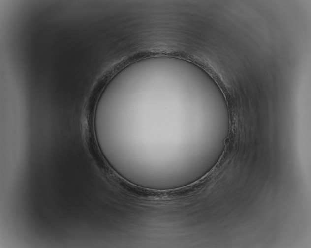 X0000102390688200808010935