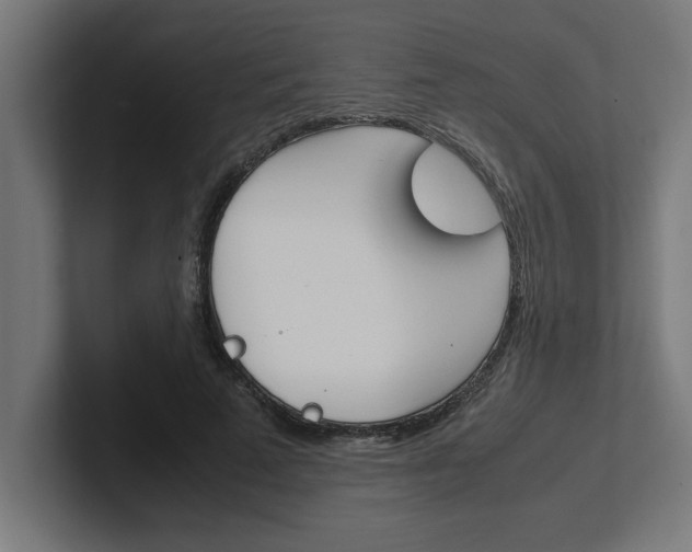 X0000102390689200808010935