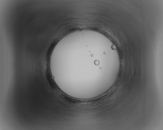 X0000102390691200808010935