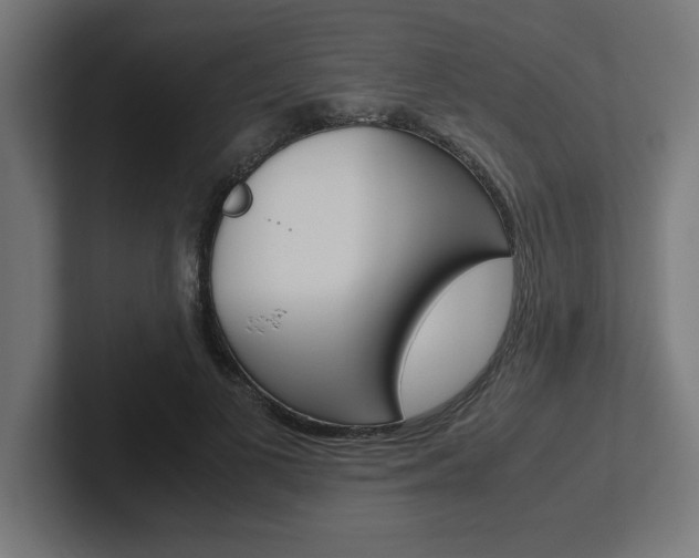 X0000102390693200808010935