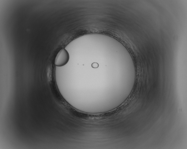 X0000102390694200808010935