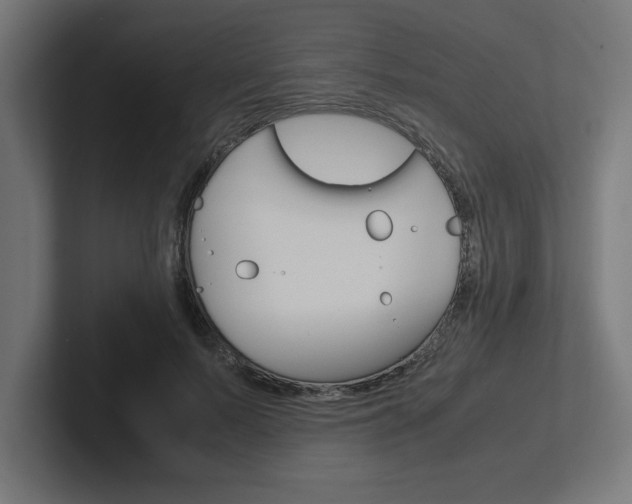 X0000102390695200808010935