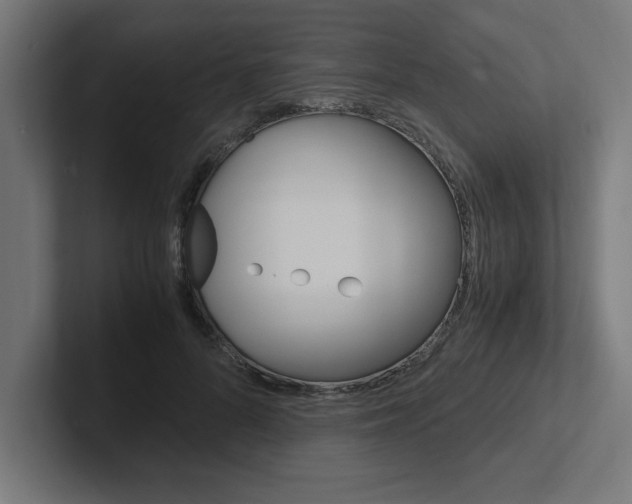 X0000102390696200808010935