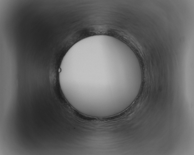 X0000102390697200808010935