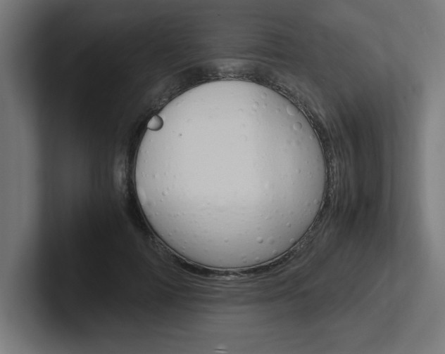 X0000102390698200808010935