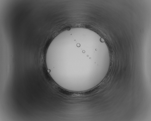 X0000102390699200808010935
