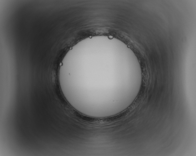 X0000102390704200808010935