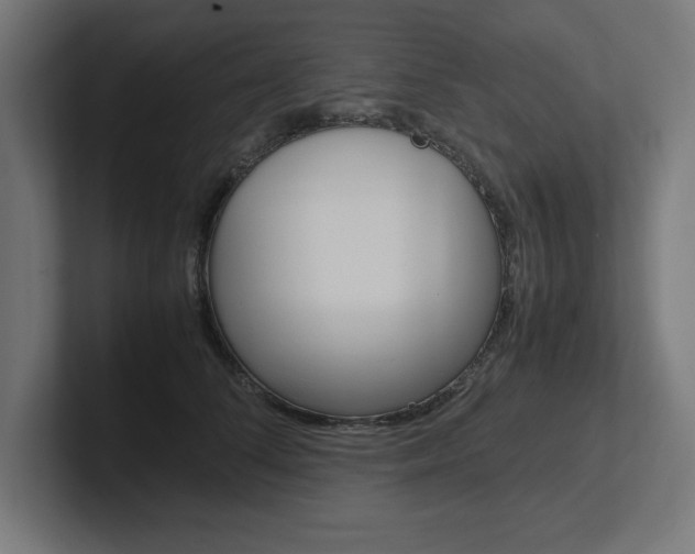 X0000102390708200808010935