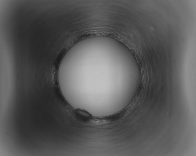 X0000102390712200808010935