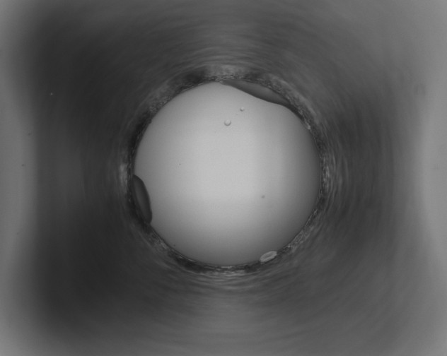 X0000102390716200808010934