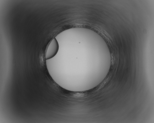 X0000102390718200808010934