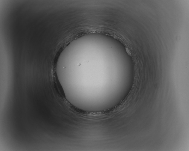 X0000102390720200808010934
