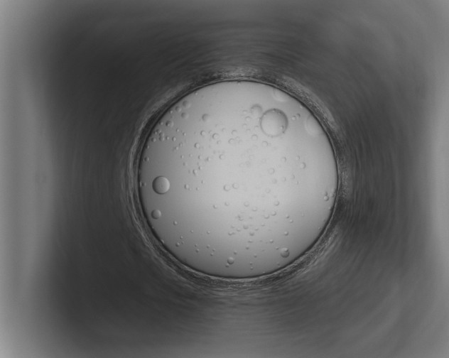 X0000102390721200808010934