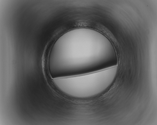 X0000102390722200808010934