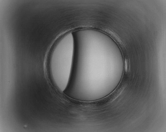 X0000102390723200808010934