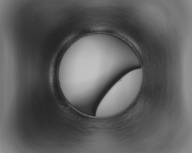 X0000102390724200808010934