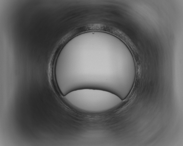 X0000102390725200808010934
