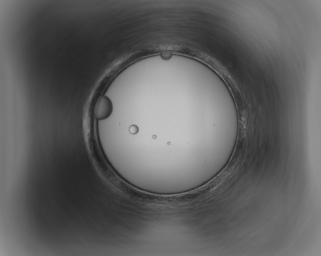 X0000102390726200808010934