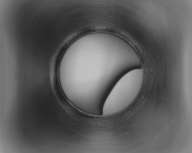X0000102390728200808010934