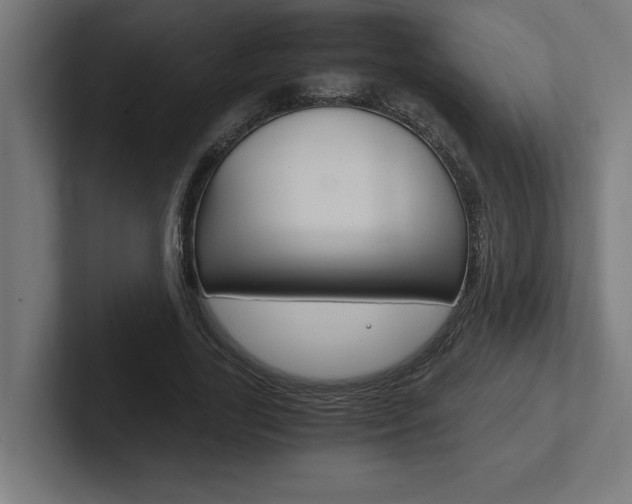 X0000102390731200808010934