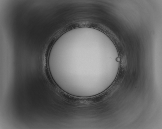X0000102390733200808010934