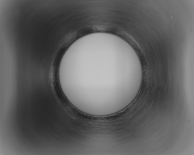 X0000102390738200808010934