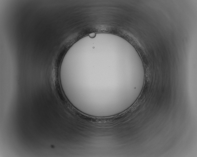 X0000102390740200808010934