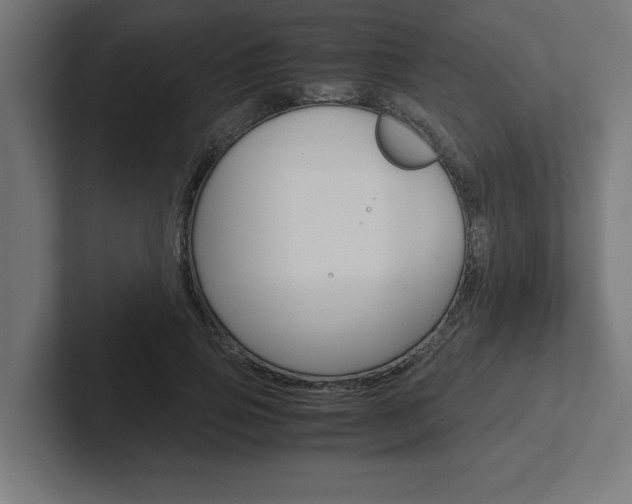 X0000102390741200808010934