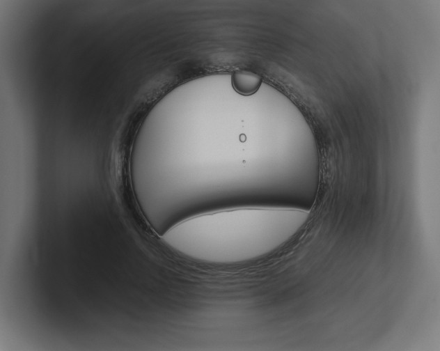 X0000102390742200808010934