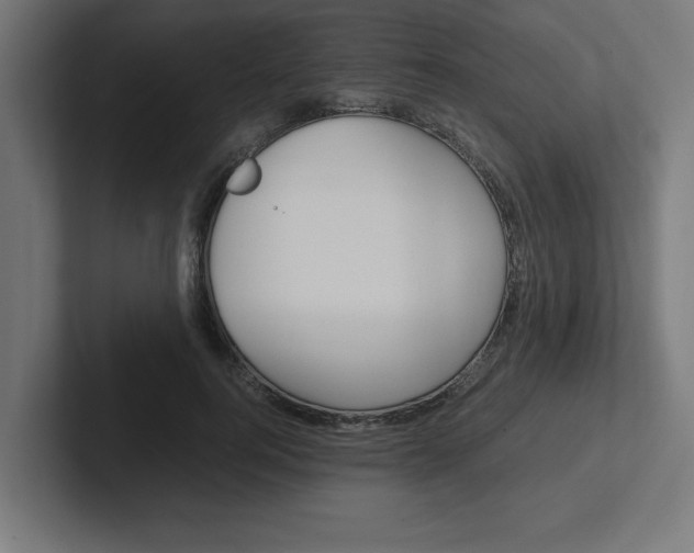 X0000102390744200808010934