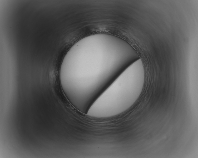 X0000102390747200808010934