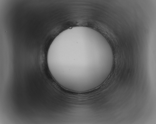 X0000102390748200808010934