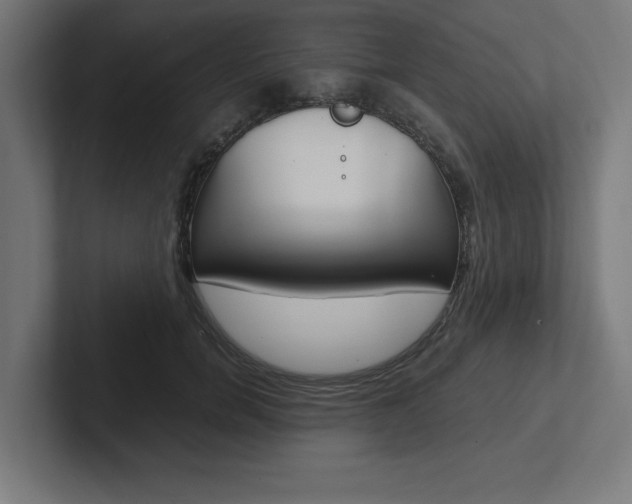 X0000102390750200808010934