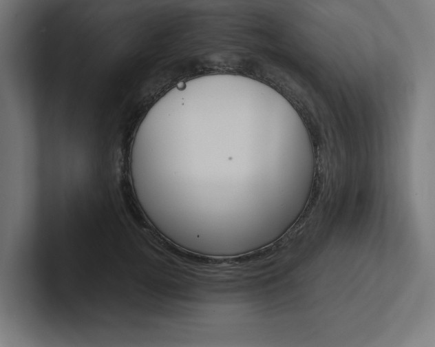 X0000102390752200808010934