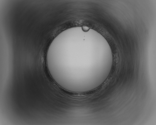 X0000102390754200808010934