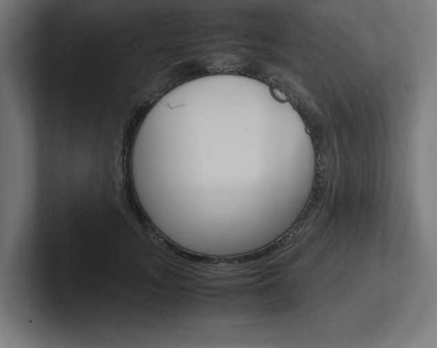 X0000102390755200808010934