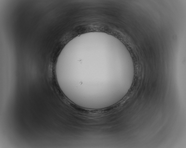 X0000102390757200808010934