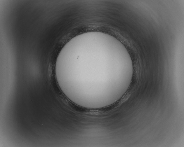 X0000102390758200808010934