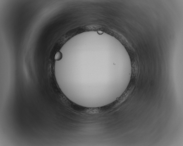 X0000102390762200808010934