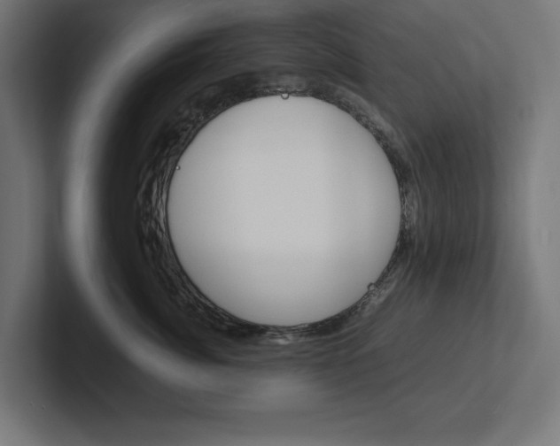 X0000102390764200808010934