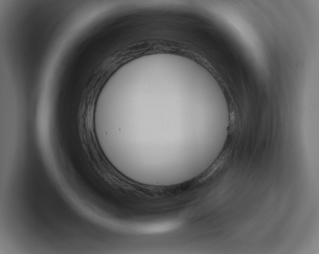 X0000102390765200808010934