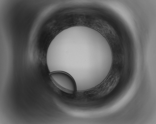X0000102390766200808010934