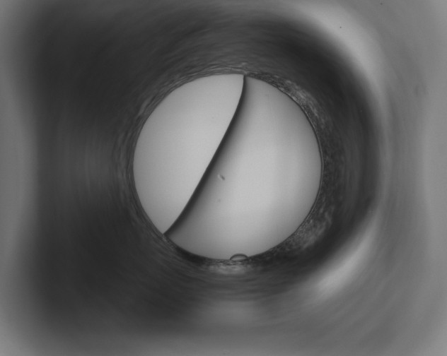 X0000102390767200808010934