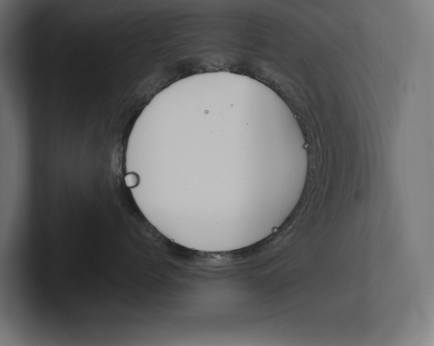 X0000102390768200808010934