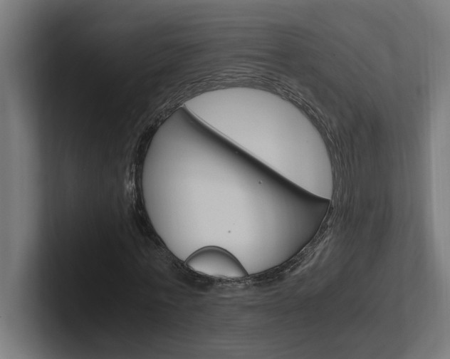 X0000102390771200808010934