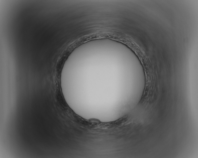 X0000102390773200808010934